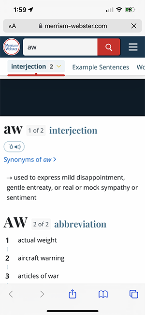 dictionary